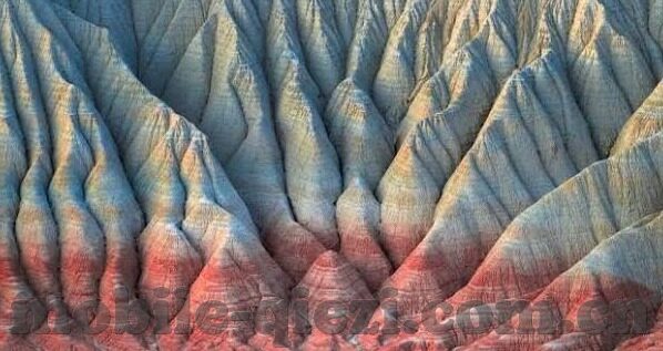 久草成人a人视频-成人世界的真实与虚拟，网络视频的多元视角