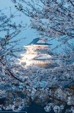 九一麻豆视频-非议之地，勿需漫延的压抑——试析舆论盲区下的九一麻豆视频现象