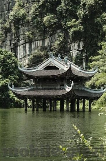 麻豆经纪app-麻豆经纪APP——解锁数字娱乐新市场