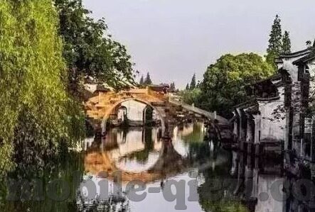 一区二区狠狠色丁香久久婷婷-探索一区二区，丁香与婷婷的交织故事
